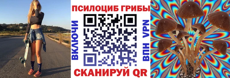 Купить где  Комсомольск-на-Амуре  Галлюциногенные грибы мицелий 