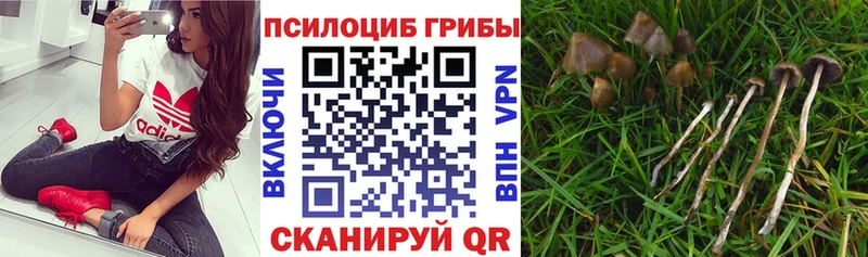 Псилоцибиновые грибы Magic Shrooms Комсомольск-на-Амуре